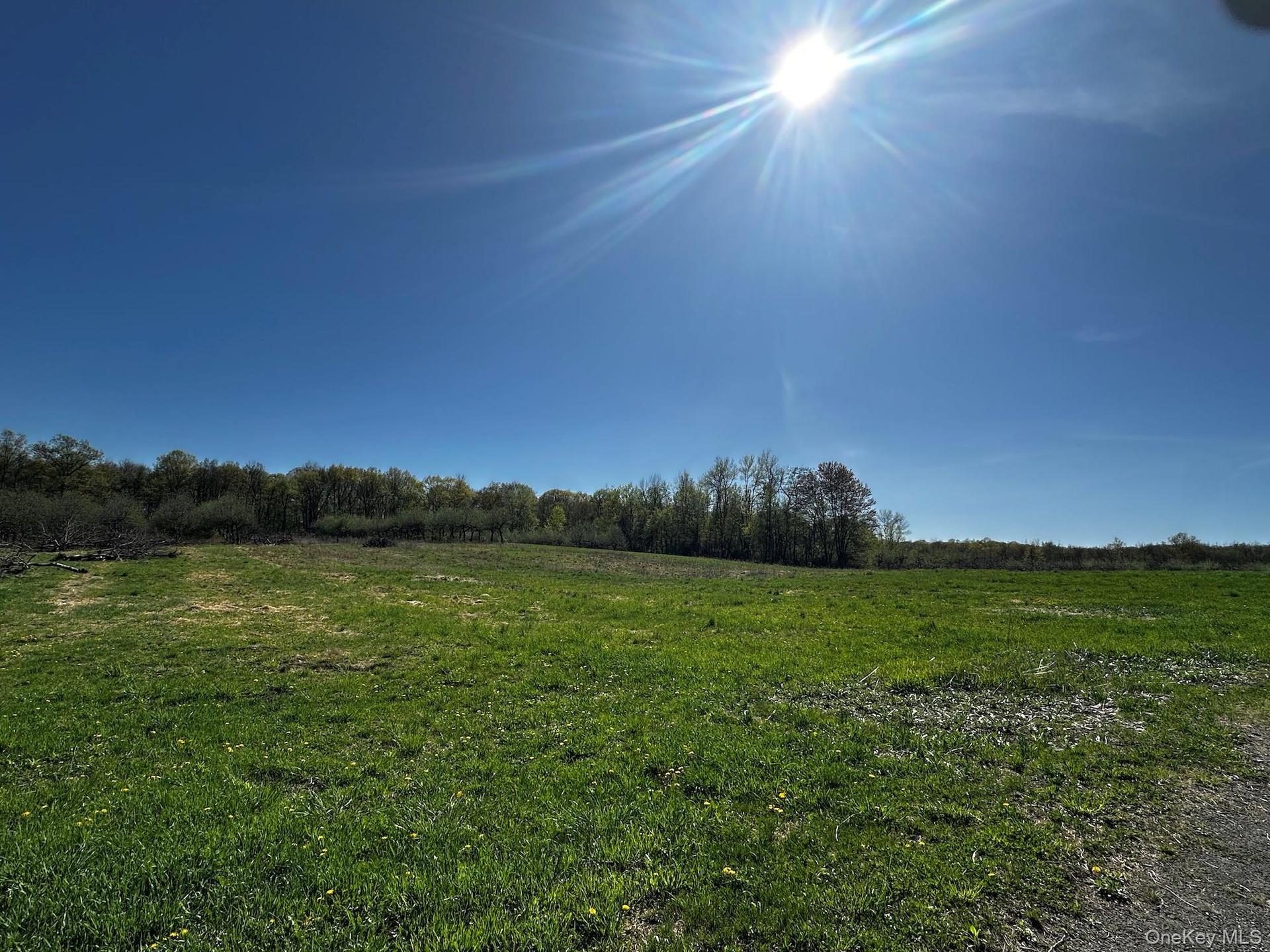 View of yard featuring a rural view