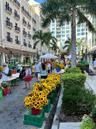 Farmers Market