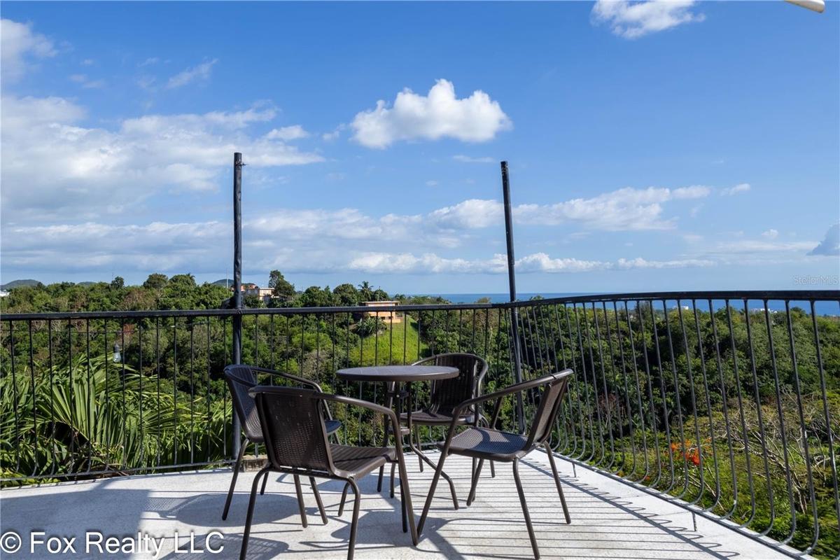 Terrace view (Top Floor)