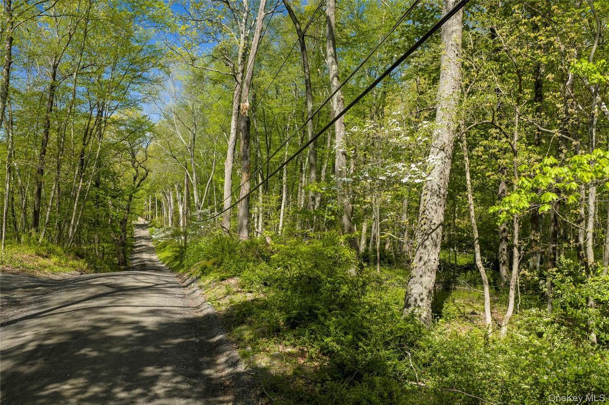 The journey begins on a tranquil dirt road gracefully lined with wild dogwood trees, setting a peaceful tone as you arrive.