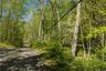 The journey begins on a tranquil dirt road gracefully lined with wild dogwood trees, setting a peaceful tone as you arrive.