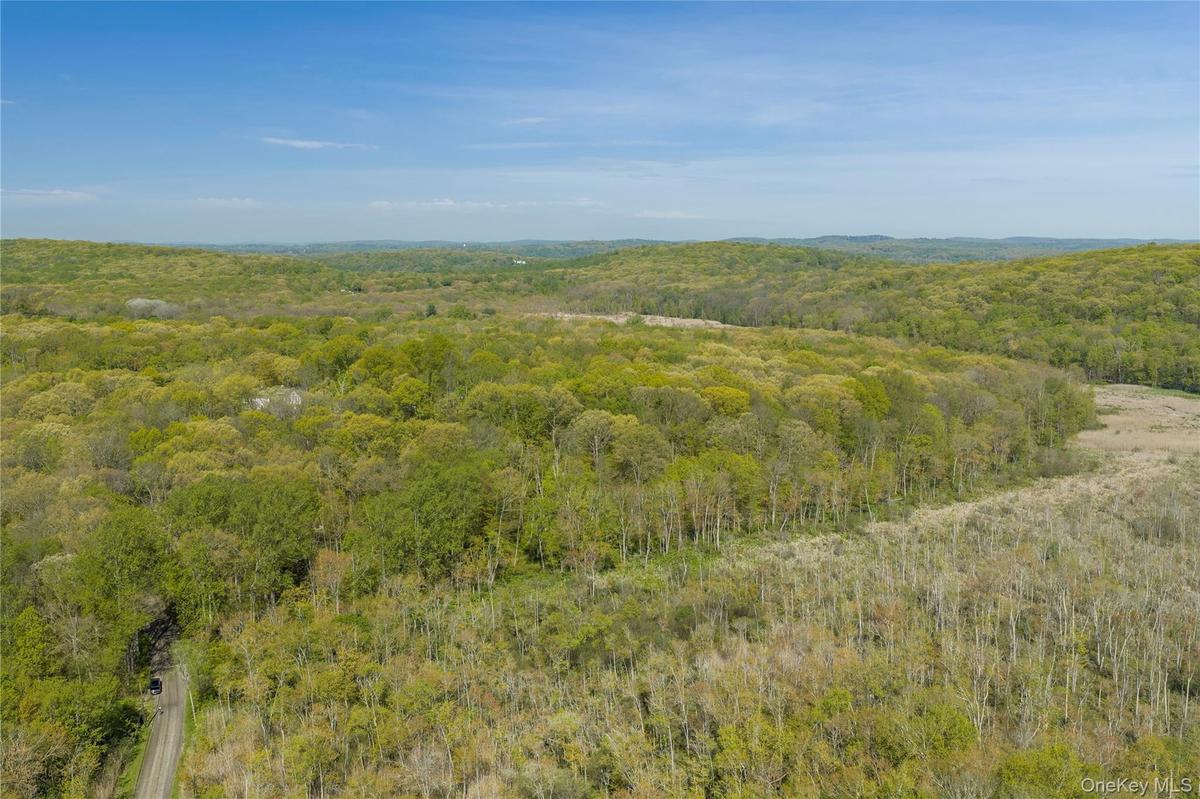 The land is entirely wooded, enveloping the site in natural beauty and seclusion. The terrain gently slopes northward and eastward toward a large prot