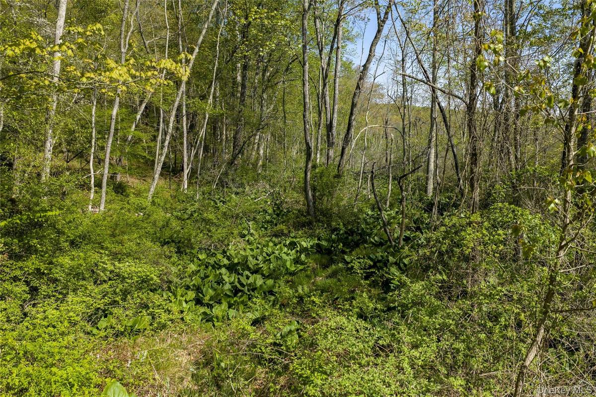Along the stream on the east side of the property.