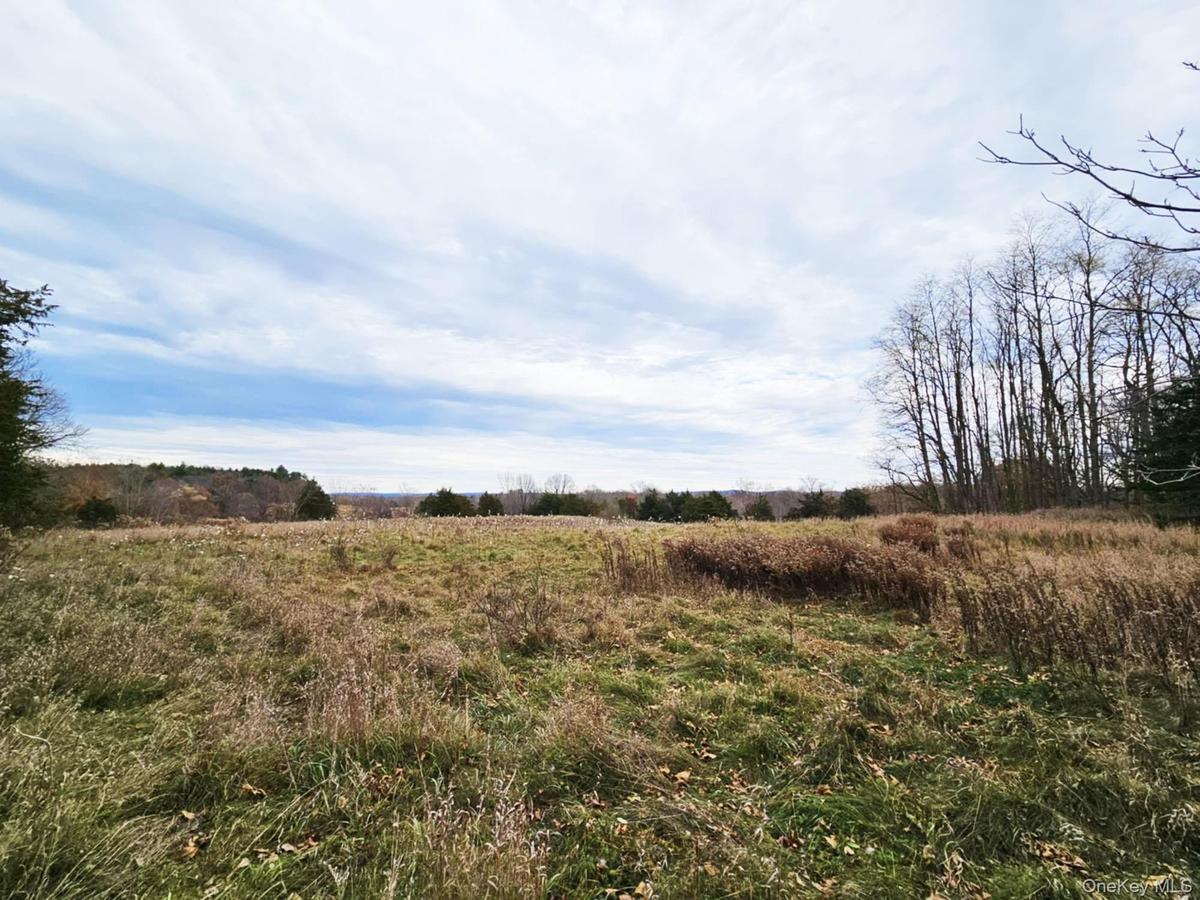 Back Field