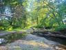 Mud Creek
