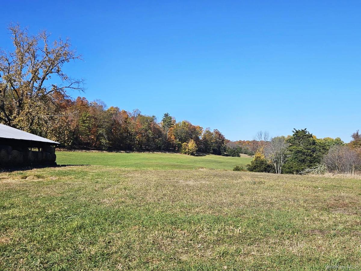 Back field