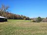 Back field