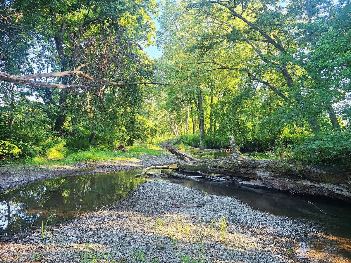 Mud Creek