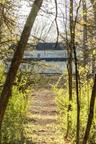 Look up at the home from the forest