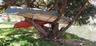 Canoes drying in the shade of a tree on the banks of the Hudson River.