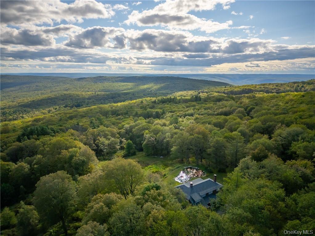 South view ariel shot