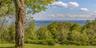 View from cabin