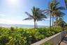 Palm Trees and Salt Breeze at Oceanfront Park