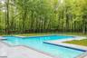 Backyard View