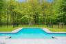 Backyard View