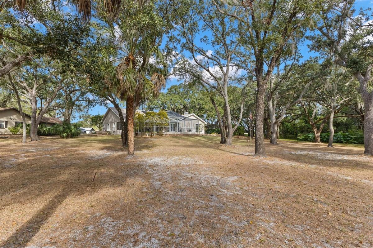Backyard