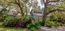 Lush tropical landscaping