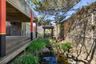 Pond within Garden Area facing Seating Area