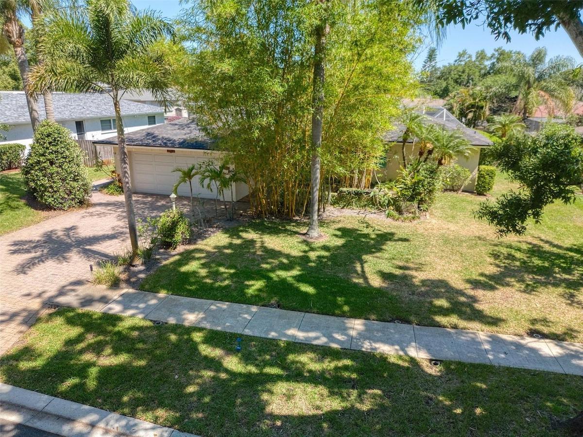 Front Privacy from Gorgeous Bamboo Trees