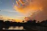 Sunset Skies
