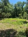 Open field at the back of the House