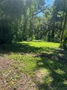 Meadow view from the house