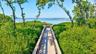 Nature Walk