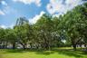 N. Straub Park across the street and views!