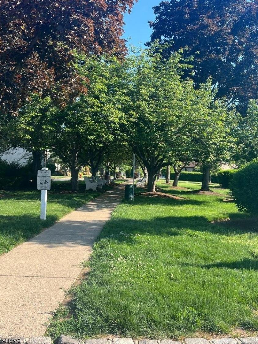 Complex walkway and benches