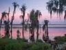 Lake Nona