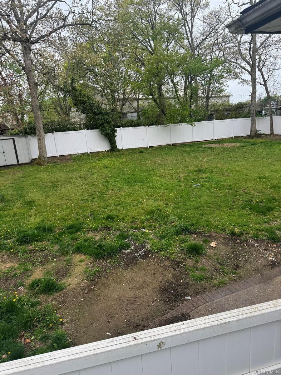 back yard