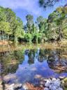 Pond in front of property