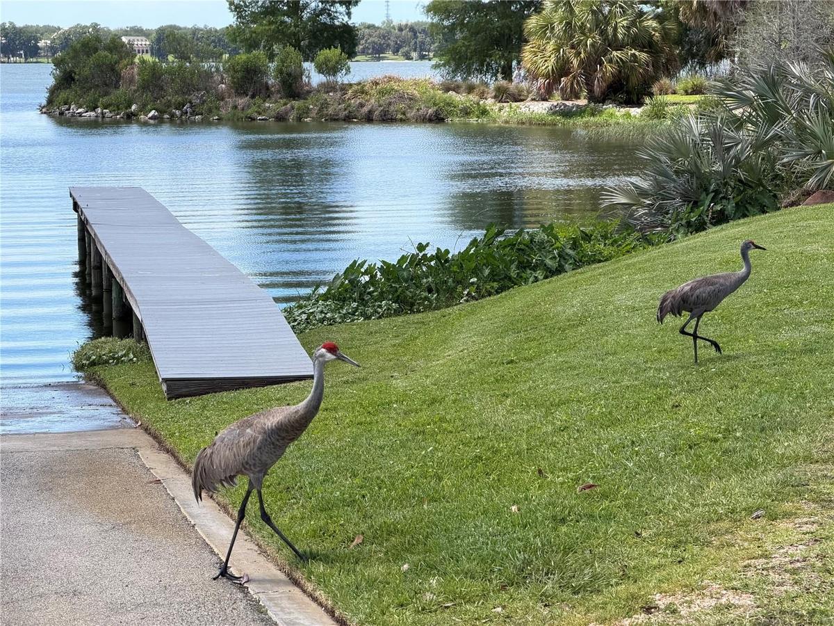 Boat Ramp next to clubhouse