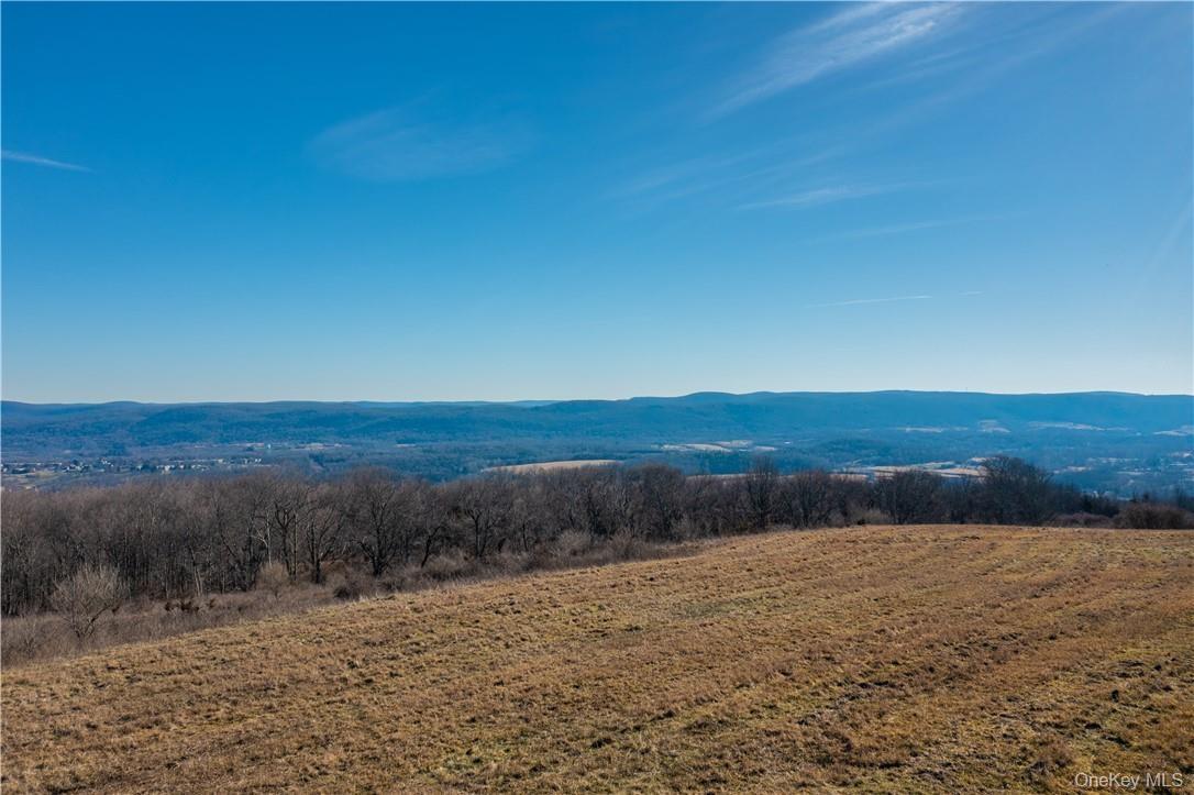 Nestled in the heart of the Town of Washington’s breathtaking countryside, this extraordinary 332+ acre property offers a rare opportunity to own an e