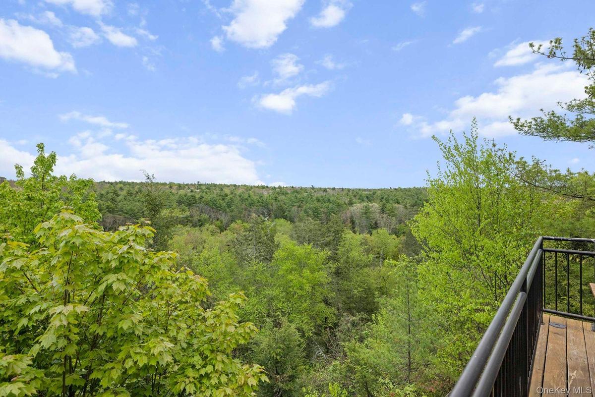Tree Tops over State and Town Land