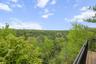 Tree Tops over State and Town Land