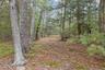 Meandering Paths