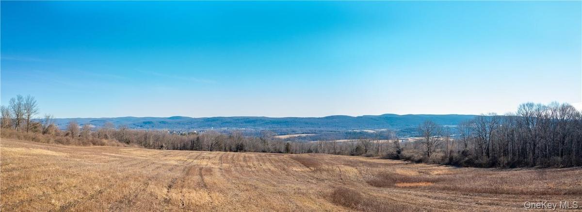 Eastern views from the 332 acre parcel.