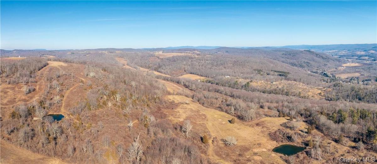 A stunning blend of rolling hay fields, open pastures, mature hardwood forests, three peaceful ponds, and a meandering stream.