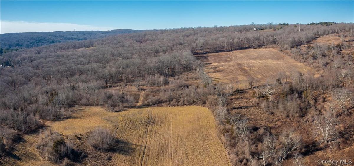 Currently hayed, the existing agricultural tax exemption adds tremendous value, currently reducing taxes from $91,728 to $54,001 annually, a savings o