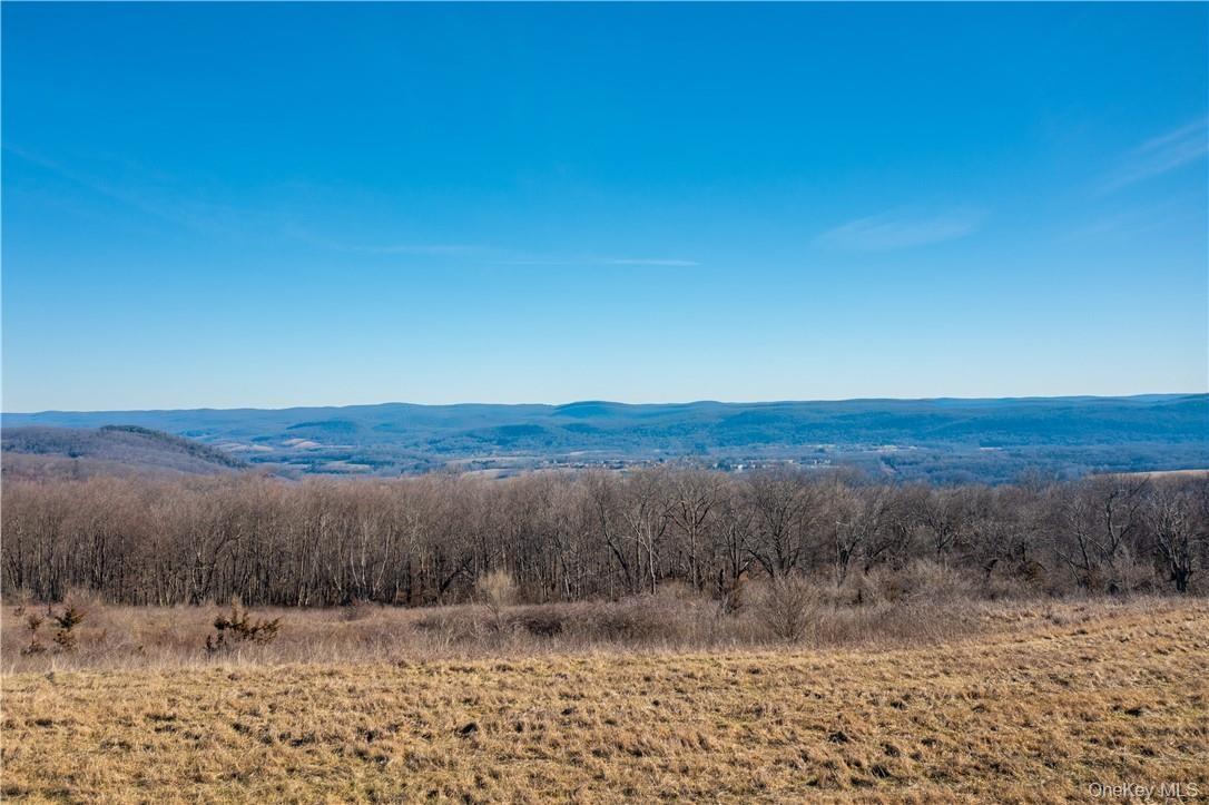 Rising steadily from east to west, the property reaches elevations of approximately 1,175 feet, where vast level areas capture commanding panoramic vi