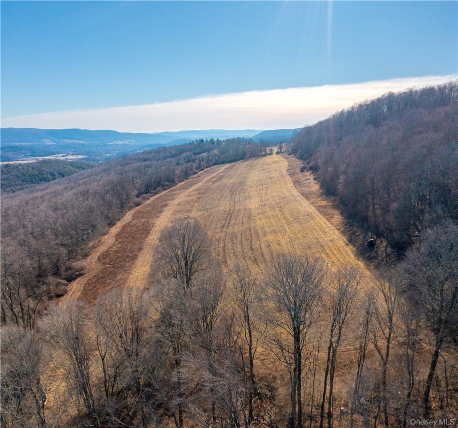 Hayfield on the north border.