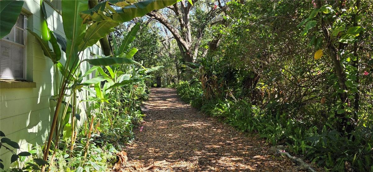 Path from the house to the street