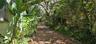 Path from the house to the street