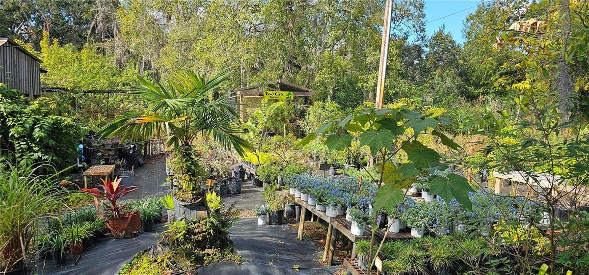 The Nursery