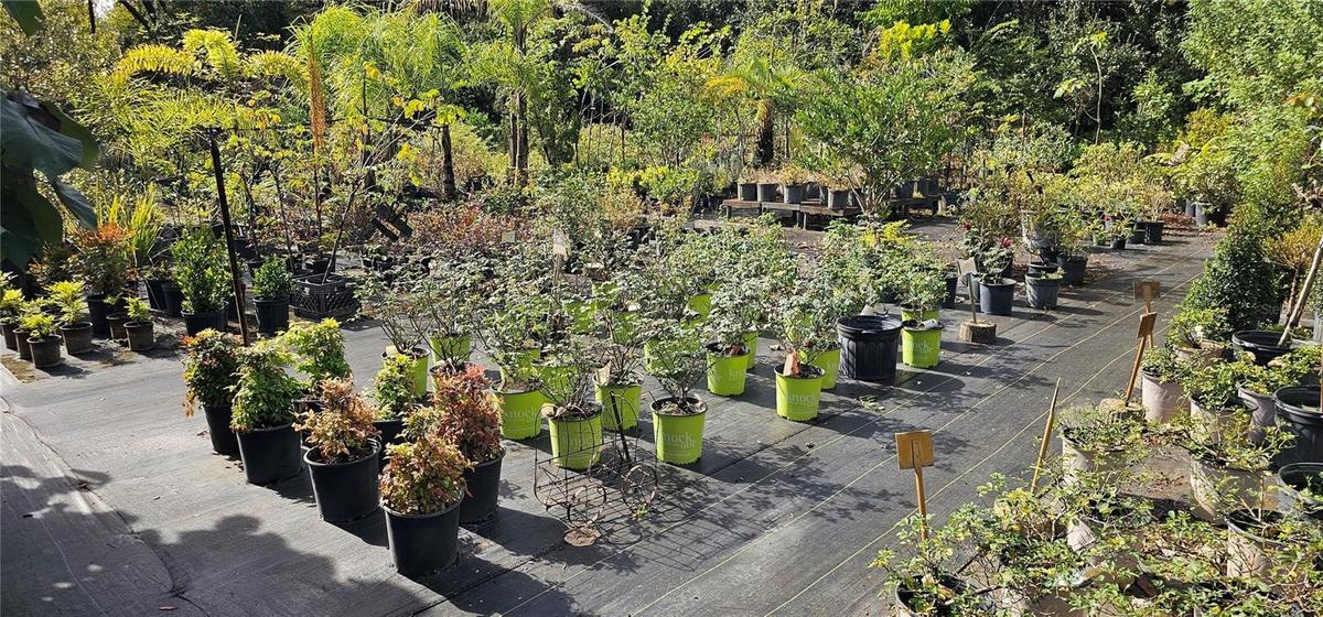 The Nursery