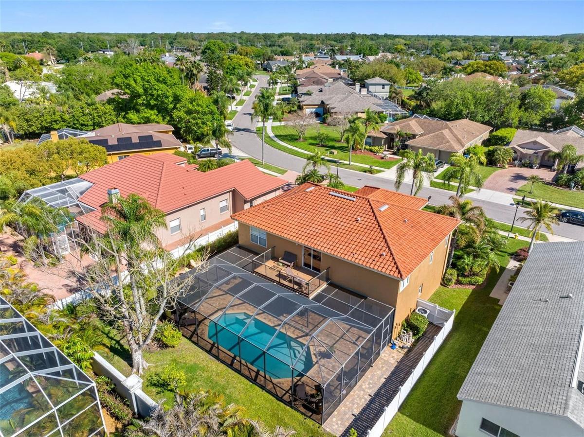 Large Backyard