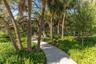 The Sarasota Bay Park offers cool walking trails in the Sarasota Bay Park's surroundings and the Van Wezel performing arts hall.