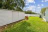 Side yard and Shed