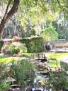 Lovely Creek for Peaceful afternoons